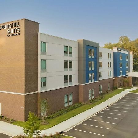 Springhill Suites By Marriott Charlotte Huntersville Kültér fotó